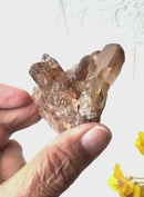 Natural Citrine Clusters from Nigeria (Career) (Not Heated)