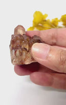 Natural Citrine Clusters from Nigeria (Career) (Not Heated)