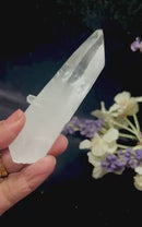 Clear Quartz Lemurians from Colombia (Master Healers)