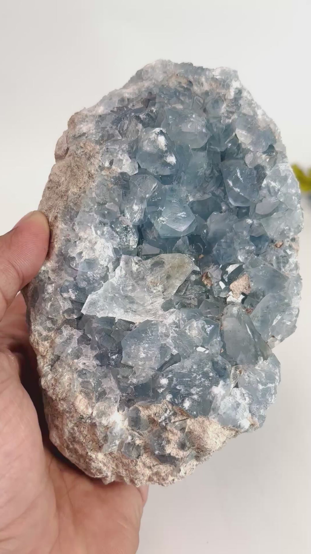 #Size_cluster h (1.426 kg)