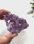Natural Amethyst Clusters in AAA Quality (Option Wise)