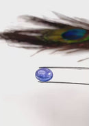 Tanzanite Gem Stone - Tanzania (Spiritual Exploration)