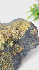 Olivine Mineral Specimen (Norway)