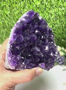 Standing Amethyst Clusters from Uruguay AAA Extra (Very dark Purple)
