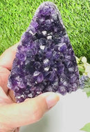 Standing Amethyst Clusters from Uruguay AAA Extra (Very dark Purple)