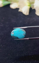Natural Iranian Turquoise Gem (Firoza)