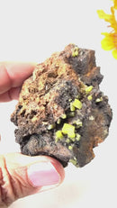 Pyromorphite on Matrix Specimen from Morocco (Achieve Goals)