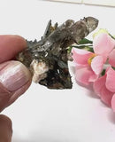 Aegirine Mineral Specimen (Transformation & Protection)