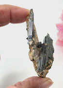 Aegirine Mineral Specimen (Transformation & Protection)