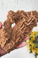 Brown Desert Rose Clusters