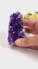 Standing Amethyst Clusters from Uruguay AAA Quality (High Vibrations)