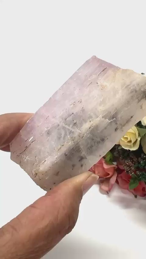 #Size_option c (123.3 g)