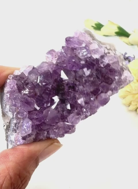 #Size_cluster a (100.45 g)