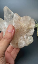 Himalayan Quartz Clusters - Large Cabinet Size (Amplify Energy and Healing)
