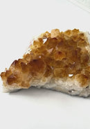 Large Citrine Clusters (Career and Business)