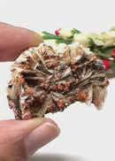 Red Vanadinite on Barite Matrix from Morocco