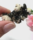 Aegirine Mineral Specimen (Transformation & Protection)