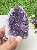 Standing Amethyst Clusters from Uruguay AAA Quality (High Vibrations)