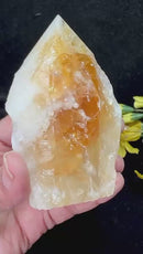 Rare Citrine Free forms with points from Brazil