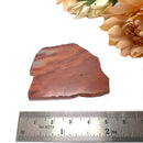 Print Stone Jasper Slice (Integrity)