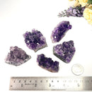 Amethyst Purple Velvet Cluster (Intuition and Spiritual Evolution)