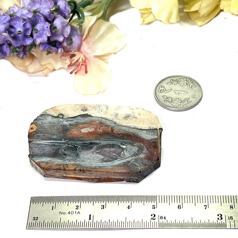 Purple Cow Jasper Slice