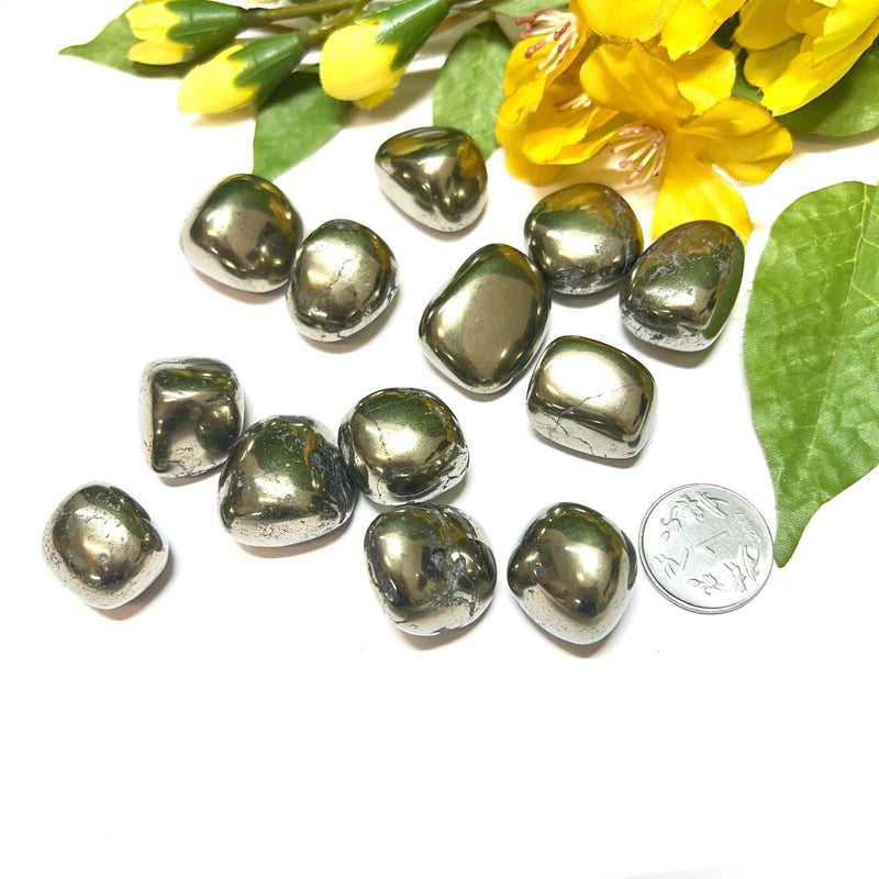 Pyrite Tumbled Stone (Money and Fame)