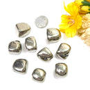 Pyrite Tumbled Stone (Money and Fame)