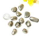 Pyrite Tumbled Stone (Money and Fame)