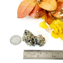 Pyrite Cluster Regular Quality (For Fame and Fortune)