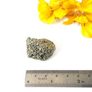 Pyrite Cluster Regular Quality (For Fame and Fortune)