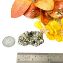 Pyrite Cluster Regular Quality (For Fame and Fortune)