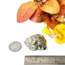 Pyrite Cluster Regular Quality (For Fame and Fortune)