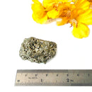 Pyrite Cluster Regular Quality (For Fame and Fortune)