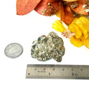 Pyrite Cluster Regular Quality (For Fame and Fortune)