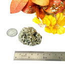 Pyrite Cluster Regular Quality (For Fame and Fortune)