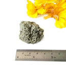 Pyrite Cluster Regular Quality (For Fame and Fortune)