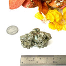 Pyrite Cluster Regular Quality (For Fame and Fortune)
