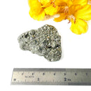 Pyrite Cluster Regular Quality (For Fame and Fortune)