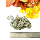 Pyrite Cluster Regular Quality (For Fame and Fortune)