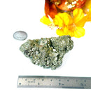 Pyrite Cluster Regular Quality (For Fame and Fortune)