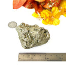Pyrite Cluster Regular Quality (For Fame and Fortune)