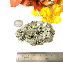 Pyrite Cluster Regular Quality (For Fame and Fortune)