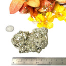 Pyrite Cluster Regular Quality (For Fame and Fortune)