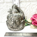 Shiva Head in Pyrite