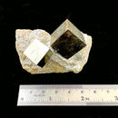 Navajun Pyrite Cube on Matrix Mineral Specimen