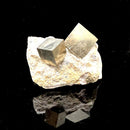 Navajun Pyrite Cube on Matrix Mineral Specimen