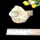 Navajun Pyrite Cube on Matrix Mineral Specimen