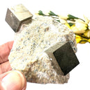 Navajun Pyrite Cube on Matrix Mineral Specimen