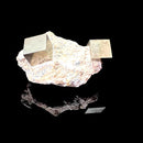 Navajun Pyrite Cube on Matrix Mineral Specimen